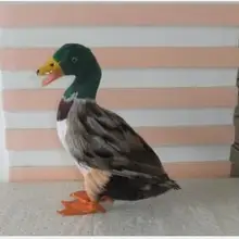 WYZHY моделирование цвет уток Пластик Сад моделирование перо Животные украшения 27X24 см