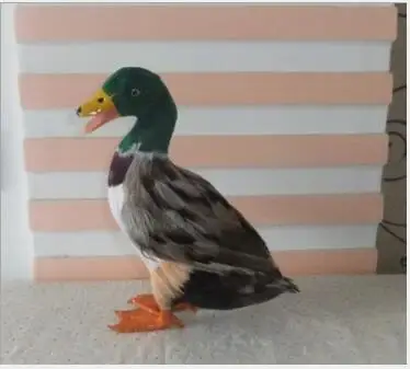 

WYZHY Simulation color ducks plastic garden simulation feather animals ornaments 27X24CM