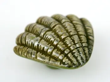 

10Pcs/Lot Child Sea Shells Resin Kitchen Cabinet Handle and Knobs