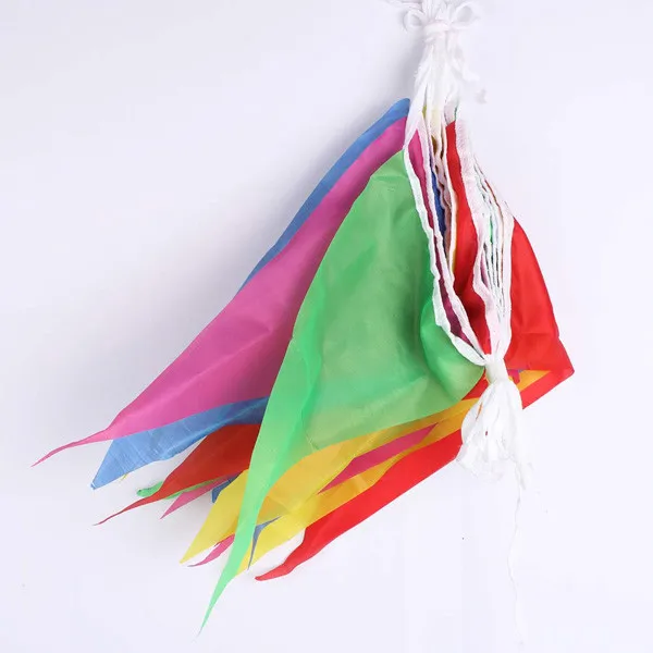 Rainbow Bunting-EJG03 (8)