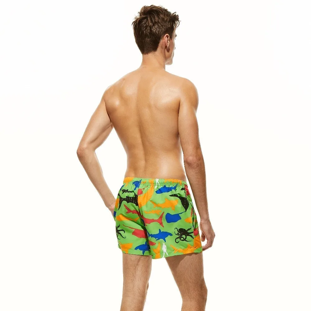 High Quality Esporte e Lazer
