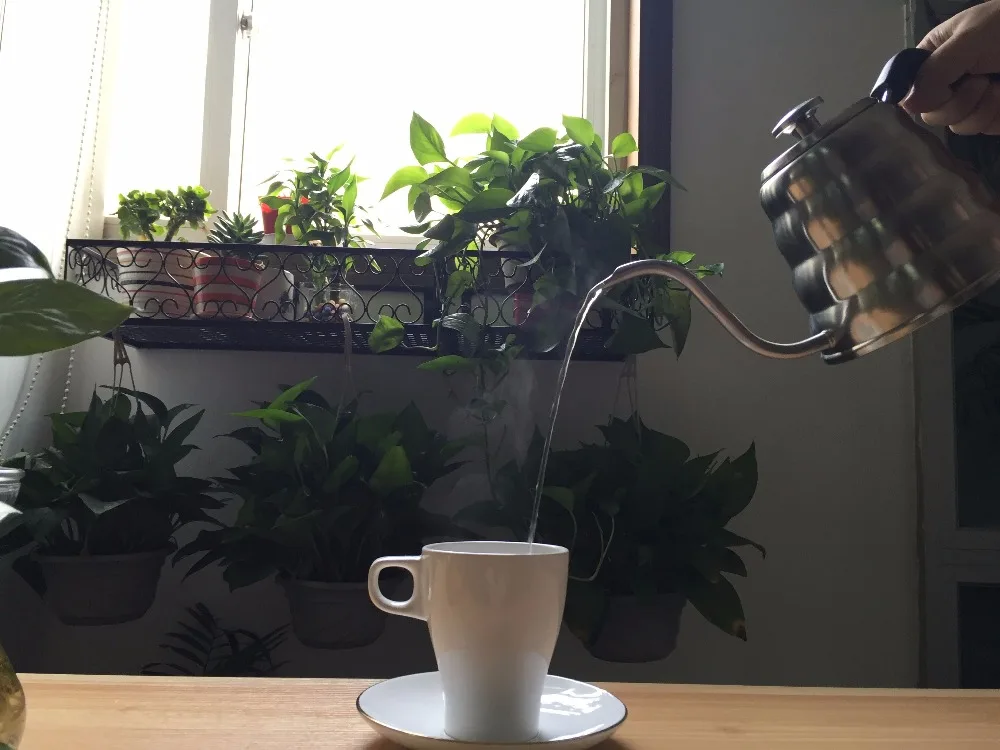 

POUR OVER Coffee Kettle 1.2L - Stop Burning Your Beans - THERMOMETER Built-in - For Perfect Hand Drip Coffee