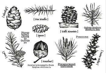 

Pinecone illustration Transparent Clear Silicone Stamp/Seal for DIY scrapbooking/photo album Decorative clear stamp A1141
