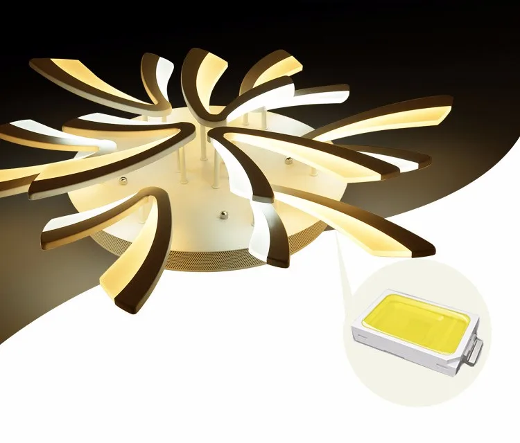 3504212234_1019503663