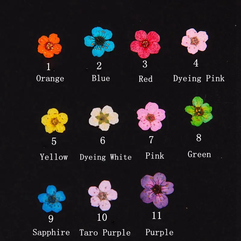 

20Pcs Real Nail Dried Flowers Nail Art Decoration DIY Tips Small Flowers Nails Rhinestones For Manicure Tools