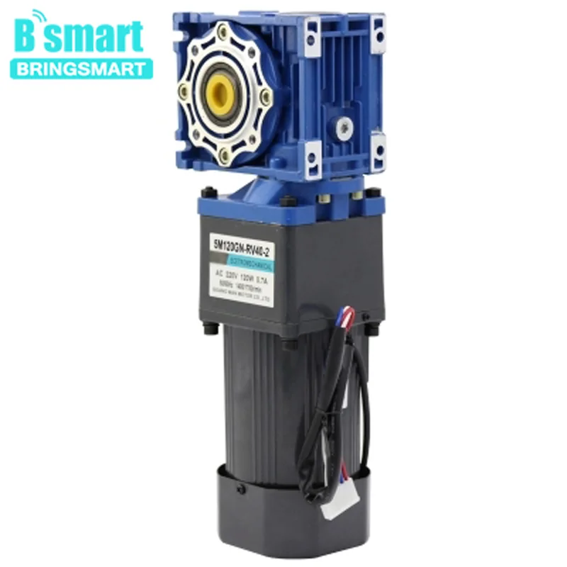 

Bringsmart 220V AC motor 120W adjustable speed forward and reverse motor gear motor gear motor