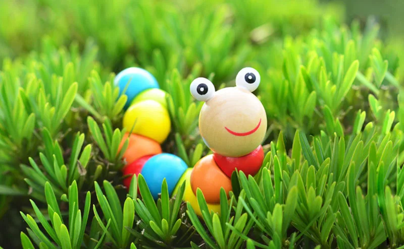 4105990076_1377045155