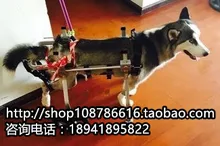 Disabled pet wheelchair / large dog scooter / paralyzed dog rehabilitation trainer / Pet hind leg four wheel