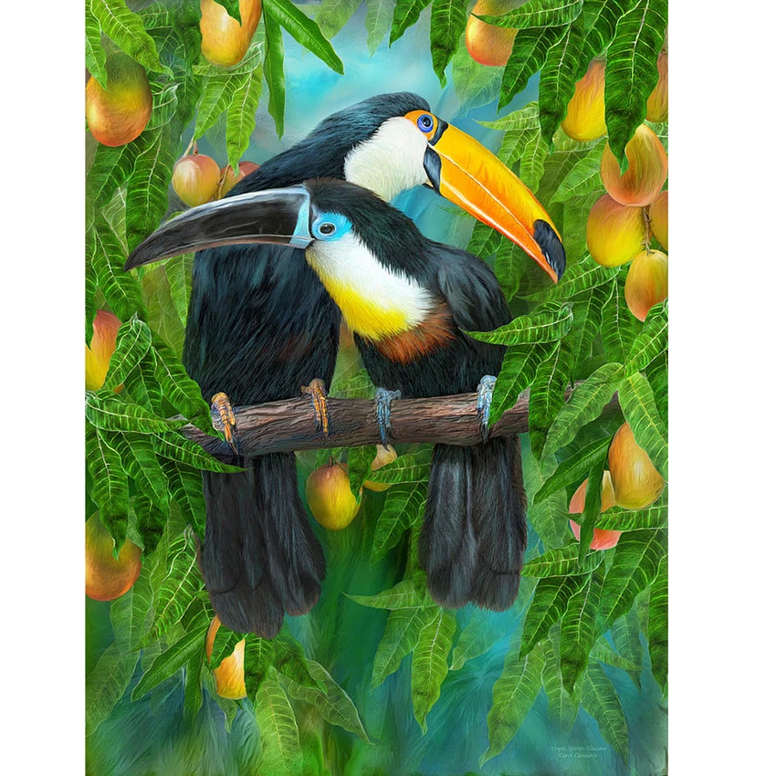 

Toucans Diamond Embroidery Animal Cross-Stitch Kits Pattern 5D DIY Diamond Painting Needlework Crafts Full Round Rhinestone