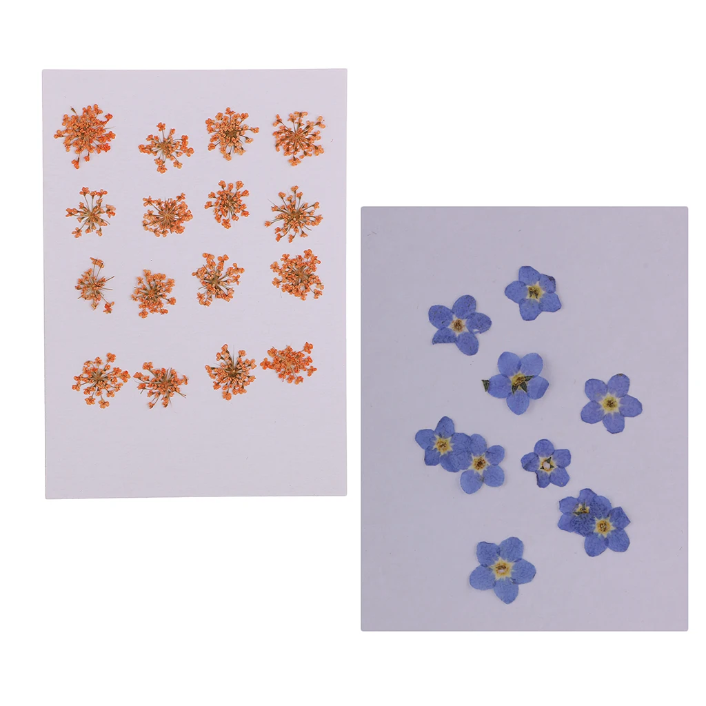 26pcs Natural Pressed Flowers Orange and Purple for Handmade Crafts Gifts Decor Charms Pendants Bracelet Making Ornaments