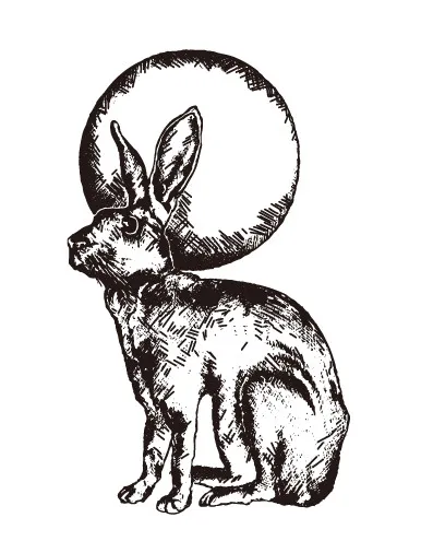 

Animal Transparent Clear Stamps for DIY Scrapbooking/Card Making/Kids Christmas Fun Decoration Supplies