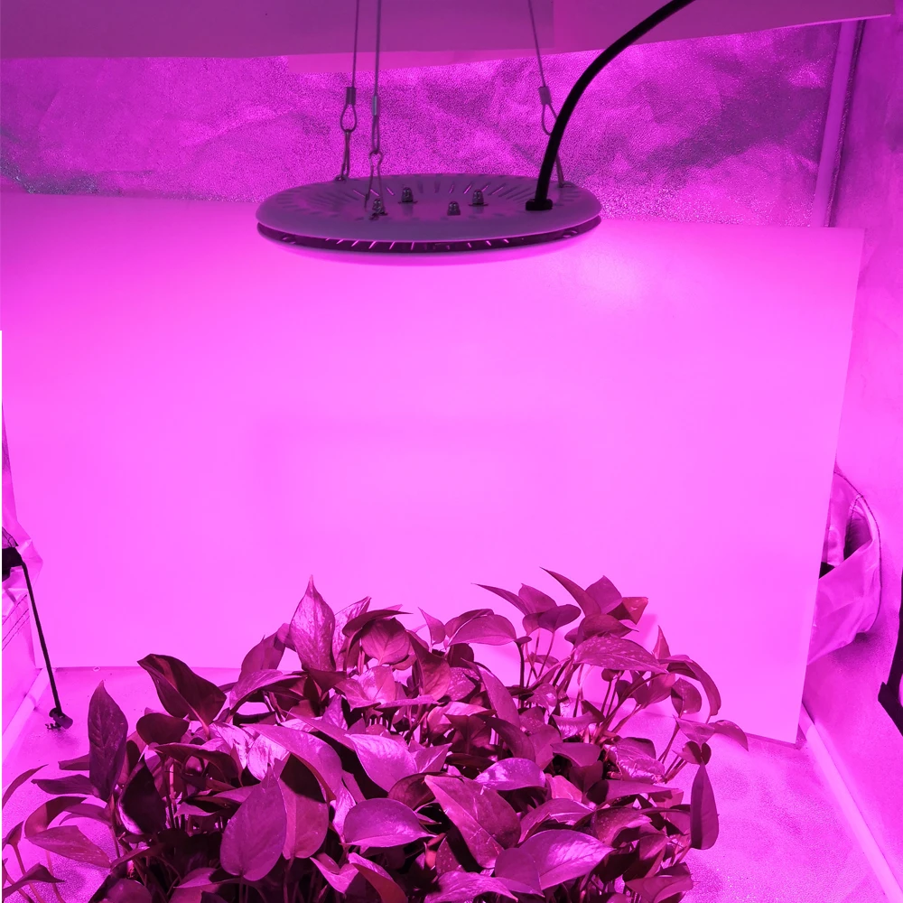 UFO-CFGROW_06