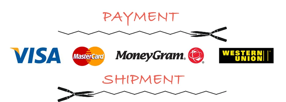 payment