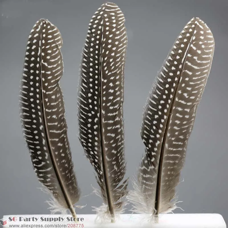 

Wholesale Keet Feather for Craft Clothing Accessories colourful feathers DIY Angel wings feather series 12-15CM Free shipping