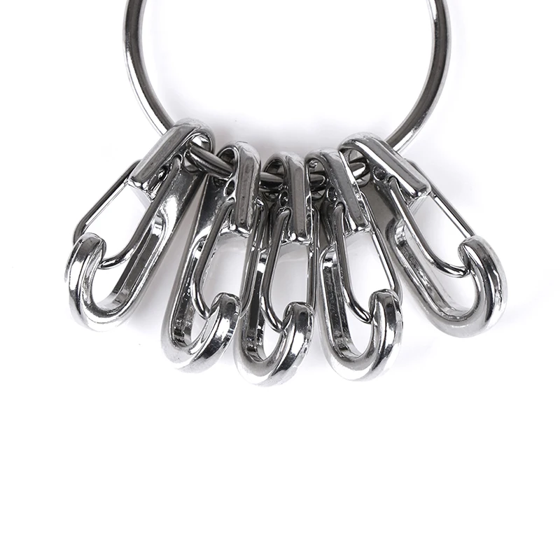 NEW 1Pcs Alloy Quick Release Carabiner Key Clip With 5Pcs Spring Hooks EDC Keyring