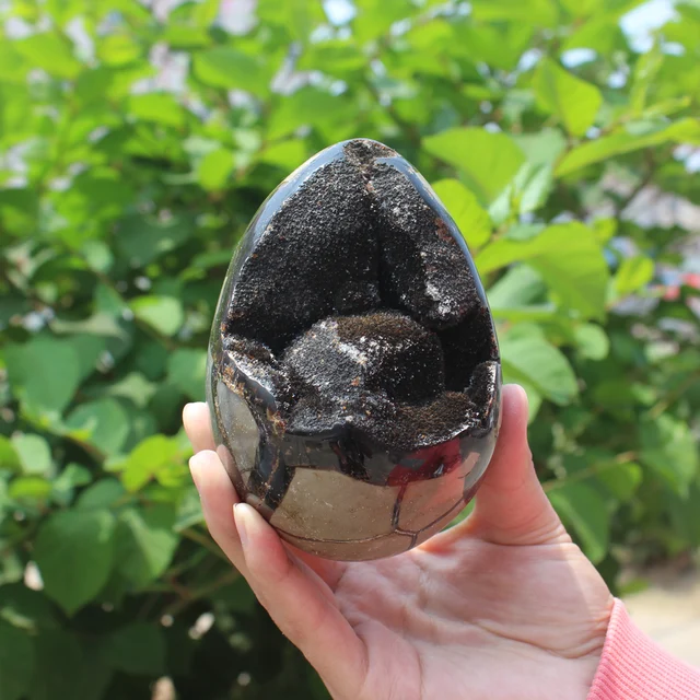 Special Offers 830g Natural curvature of the furnishing articles Turtle grain stone egg  Ball Septarian nodule Fossil Crystal Healing quartz 56