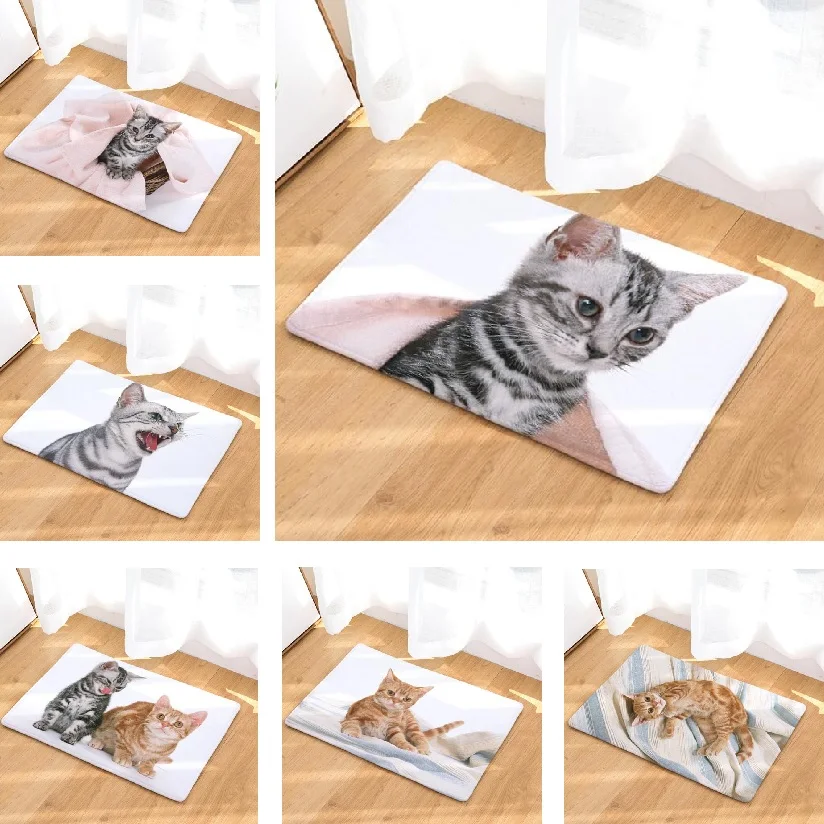 Door Mat Funny Cat Printed Suede Carpet 50x80cm Bath Mat Home Decoration Kitchen Bathroom Toilet Rug Outdoor Floor Mat