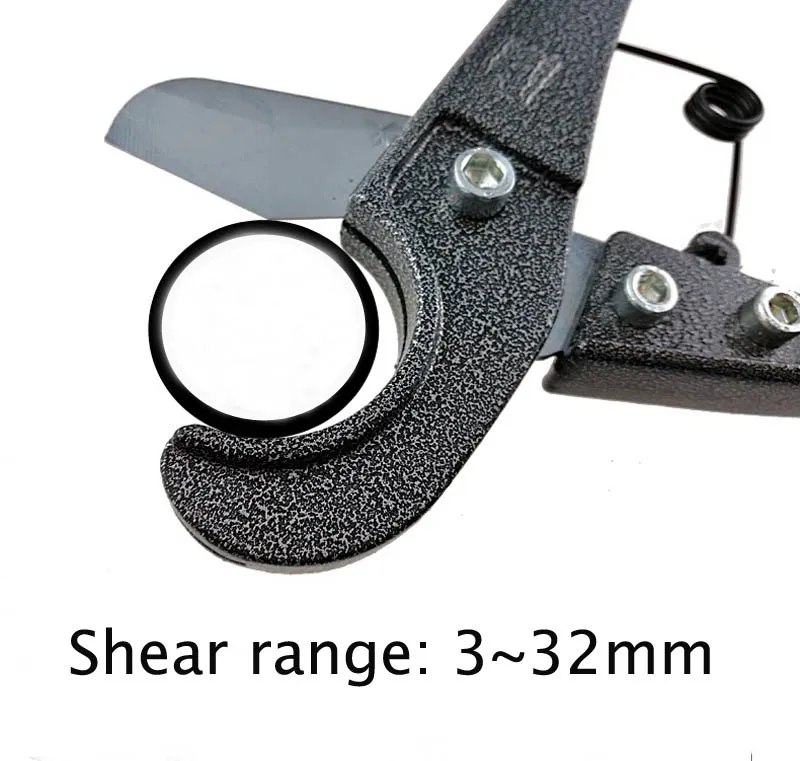 4999084049_687789296