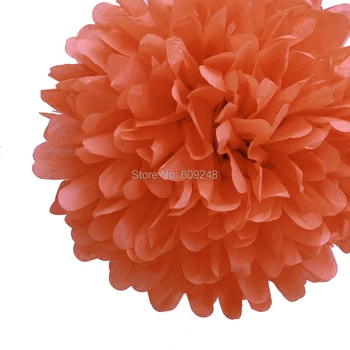 

10pcs 8"(20cm) Festival Birthday Holiday Party Nursery Decorations Peach Tissue Paper Pom Poms Hanging Craft Flower Ball