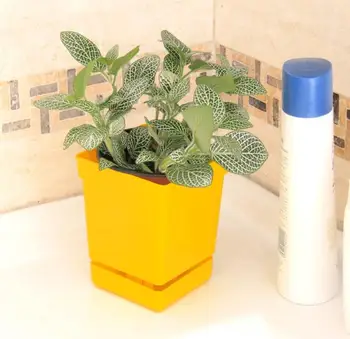 

6 pcs. square Shape potty mini plastic flower pots automatic watering pot seeders factory flower pot holder home decor worker