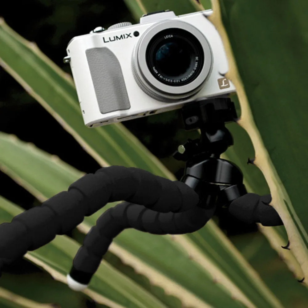 HTB1DTMhKVXXXXbcXFXXq6xXFXXX1