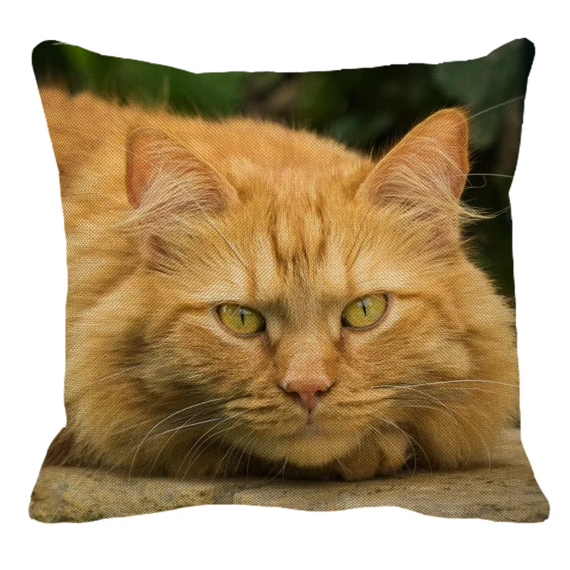 

XUNYU Cute Cat Patterns Square Linen Pillow Case Home Sofa Pillow Cover Car Cushion Cover