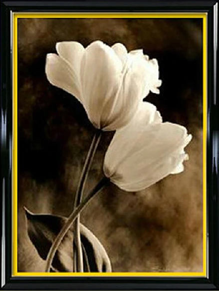 

diy Kits Diamond Painting Cross Stitch Crystal Rhinestone Pasted White Tulip Flower Diamond Puzzle Picture Needlework Embroidery