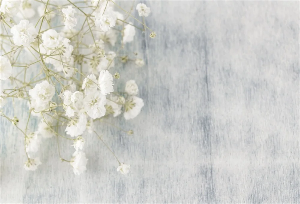 

Laeacco Flowers Cherry Petal Fade Cement Wall Doll Portrait Photographic Backdrops Photo Backgrounds Photocall Photo Studio