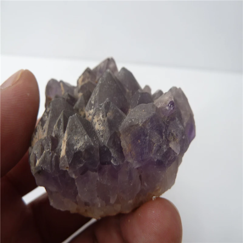 P1500454