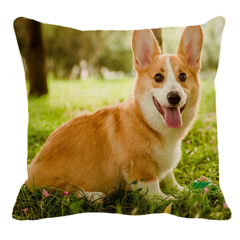 sdadadagjh