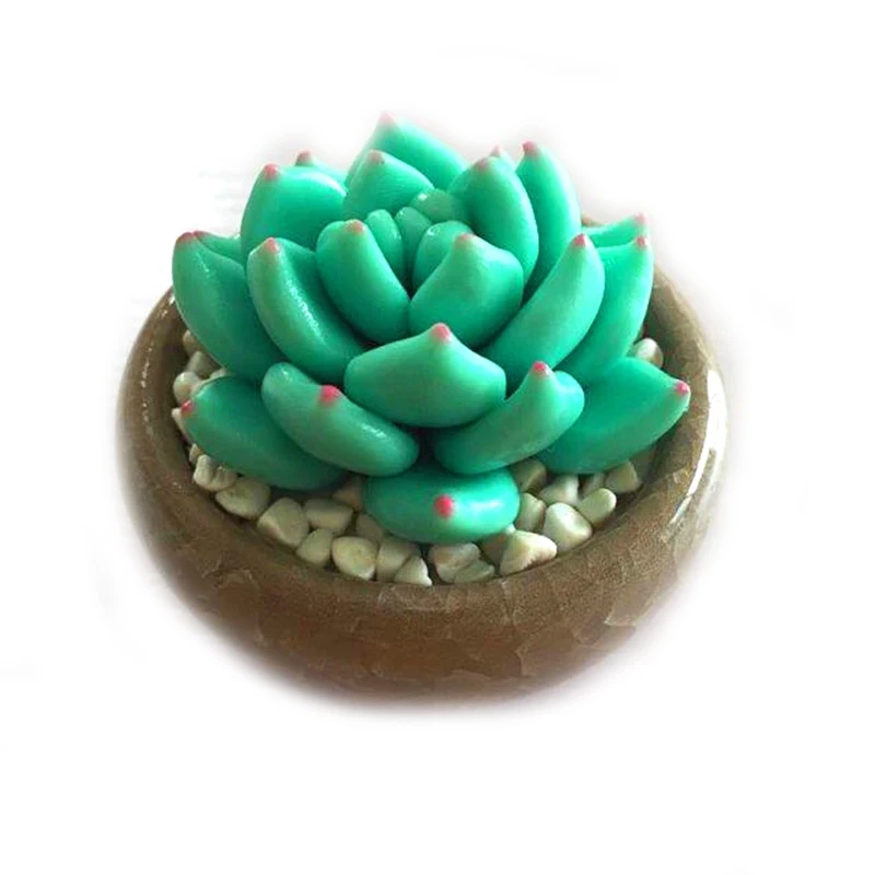 muti-flower pots
