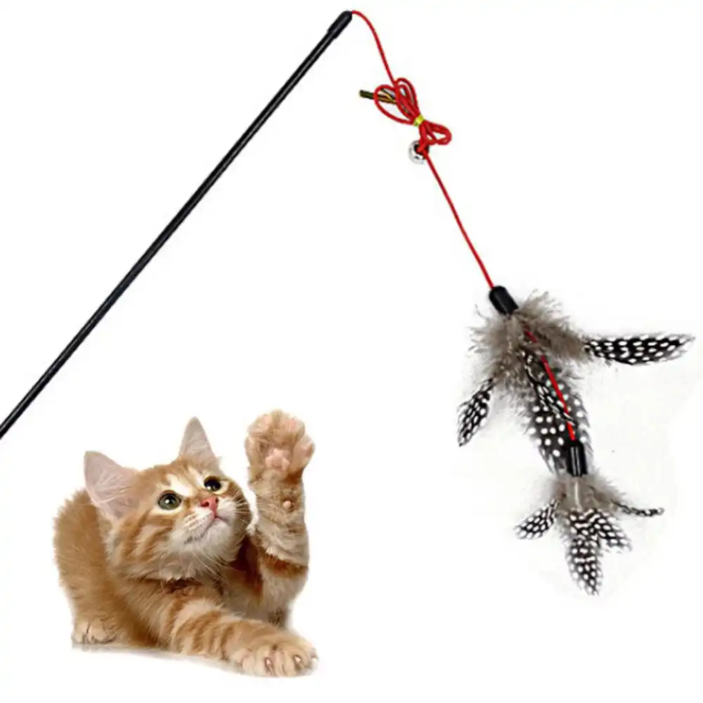 cat feather toys
