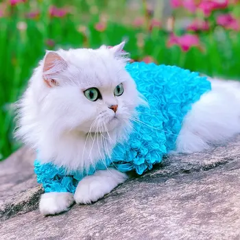 

Clothing Chat Vetement Clothes Yorkies Costume For Dogs Pets Costumes For Cats Clothes Solid Color Cosplay Cats Accessories
