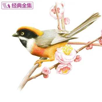

Newest Chinese pencil flower bird drawing book 21 kinds of Flower Painting watercolor color pencil textbook Tutorial art book