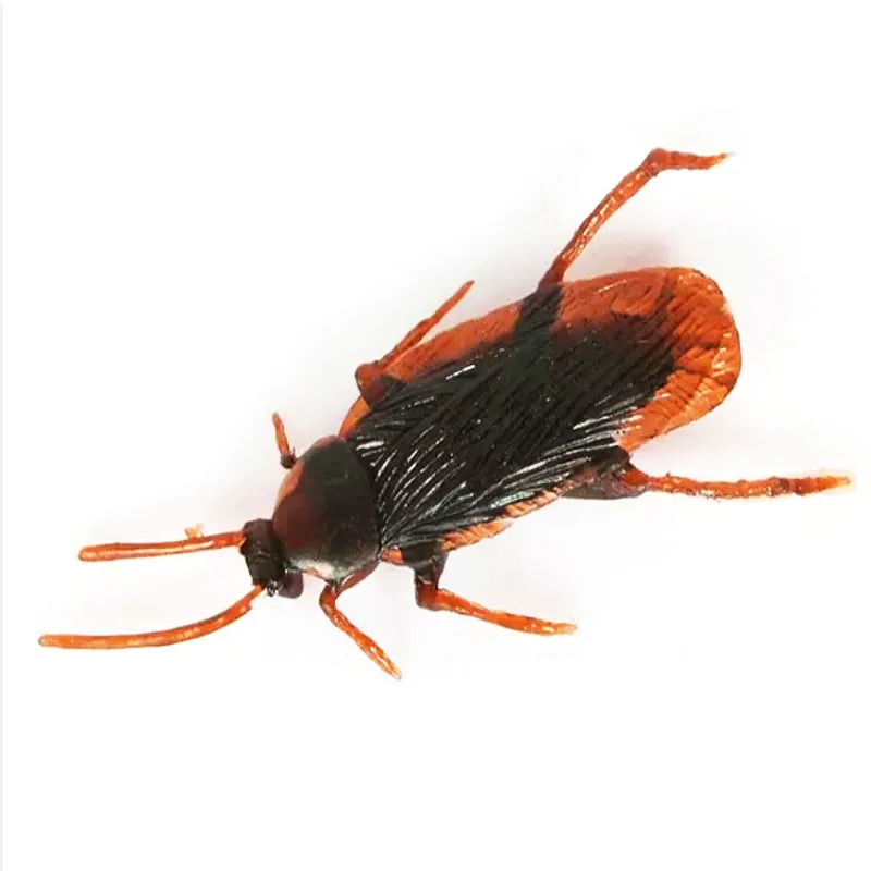 

amazing Nausea Animal toy animals Insects Toys Simulation roach Tricky Halloween props Thriller scary toys + free shipping