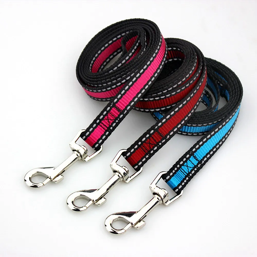 dog leash (14)