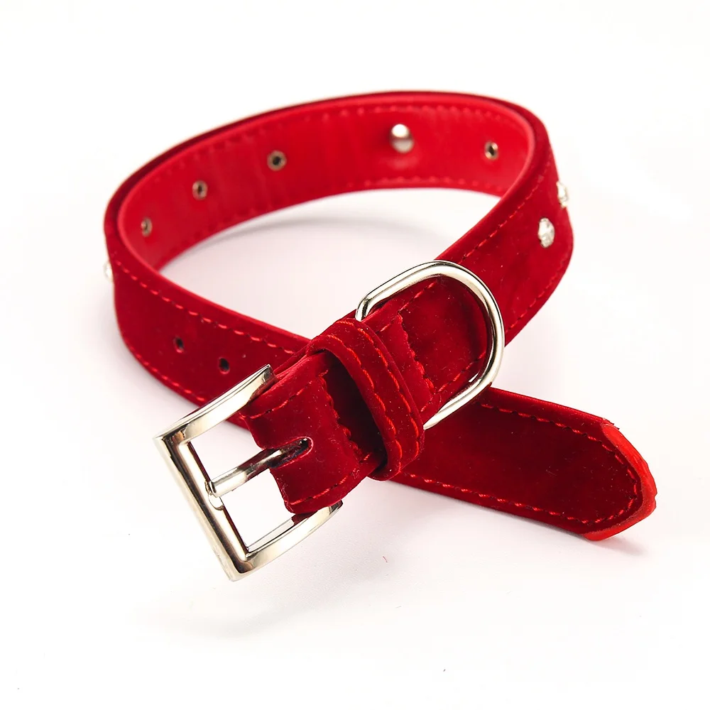 Pet Products Dog Collar For Dogs Small Cat Dog Collar Lead Harness Leash Puppy Solid  Cats Collars Chihuahua Supplies Accessories PQ013 (14)