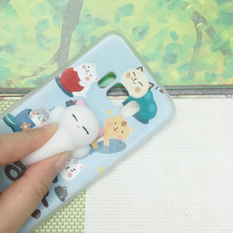 S8 Cat case-04