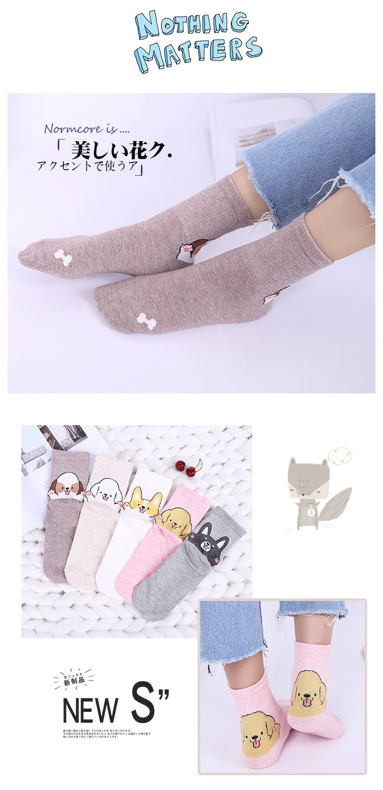 8577622195_259698019