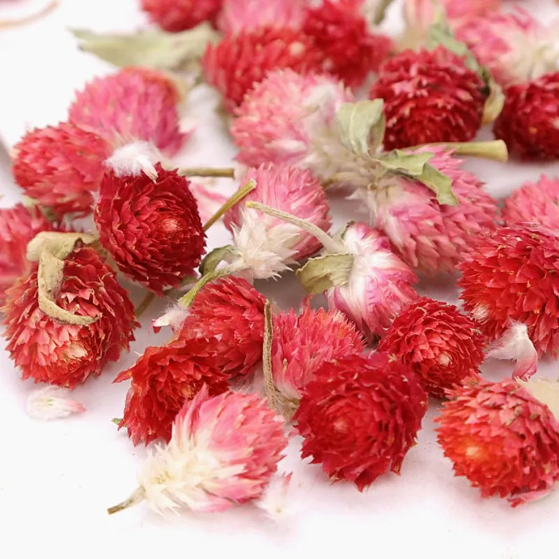 остролист сухоцвет. стабилизированная. физалис фонарики. гелихризум красный. кавказская роза сухоцвет.