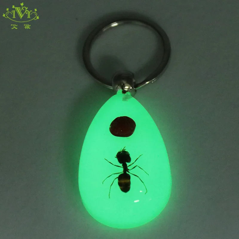 

Luminous Keyring Large Size Natural Red Bean Ant Keychain Glowing In The Dark Keyring Insect Key Holder Birthday Souvenir Gifts
