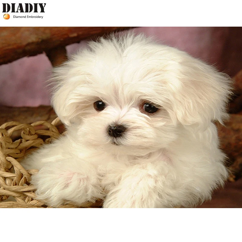 DIADIY Full Square 5D DIY Diamond Painting Cute dog Embroidery Cross Stitch crystal Mosaic Picture pet home decor Art | Дом и сад