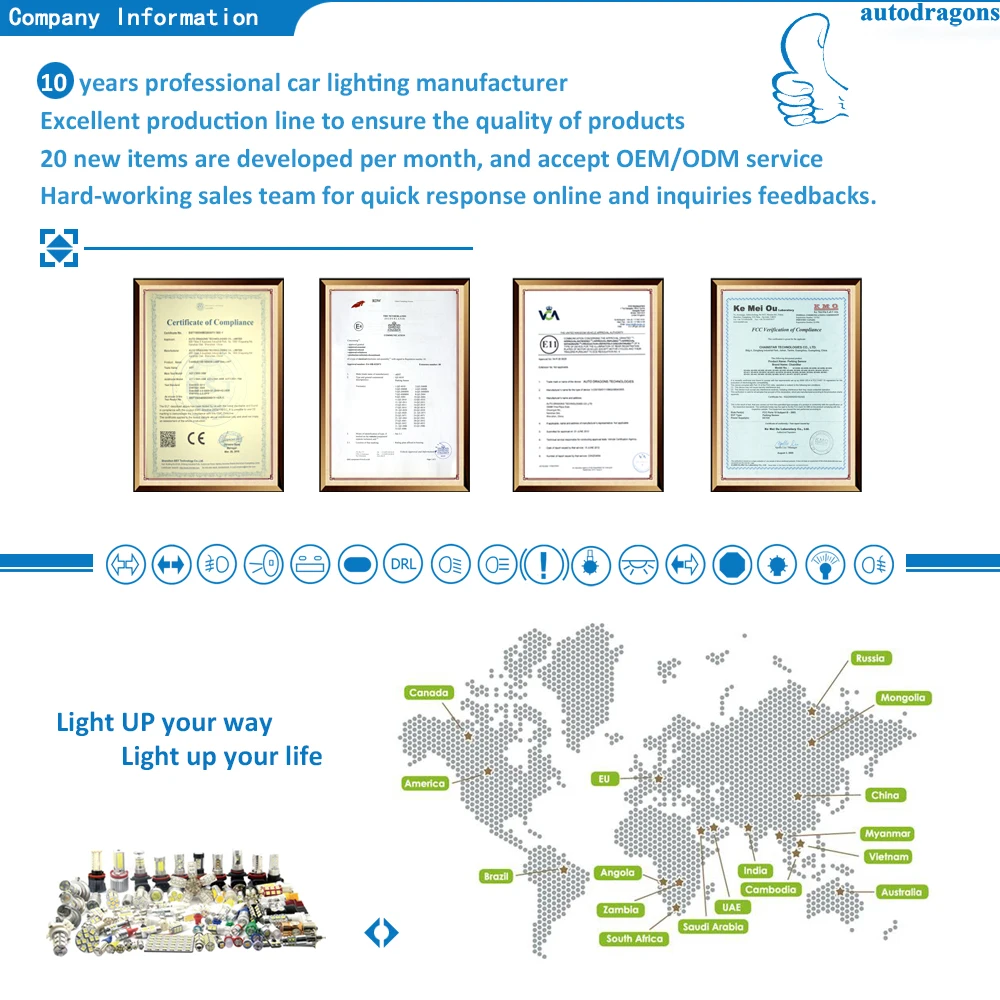 4 Company Information