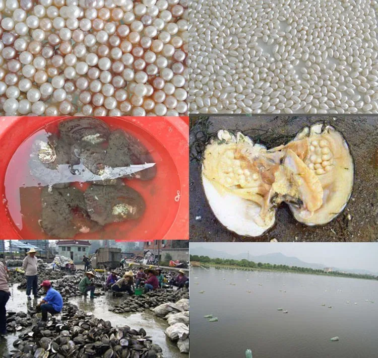 16 inch ,8-9mm white big round nature freshwater pearl ,100% natural freshwater loose pearl with round, high luster in strand