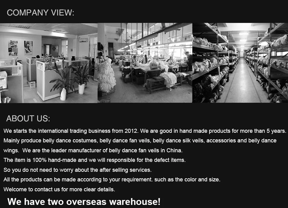 company veil