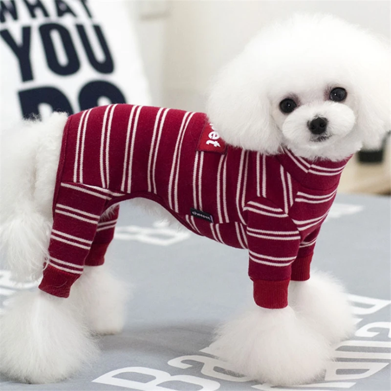 dog clothes winter (12)