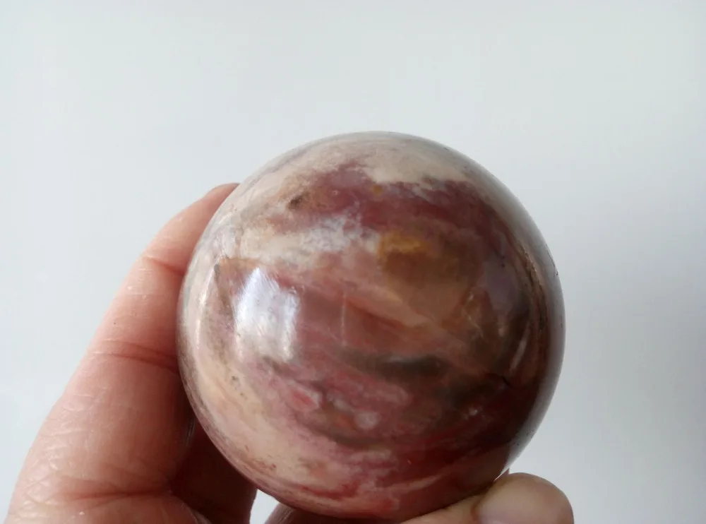 62 мм окаменевшая древесная Сфера каменный хвойный минеральный шар|ball ball|ball sphereballs