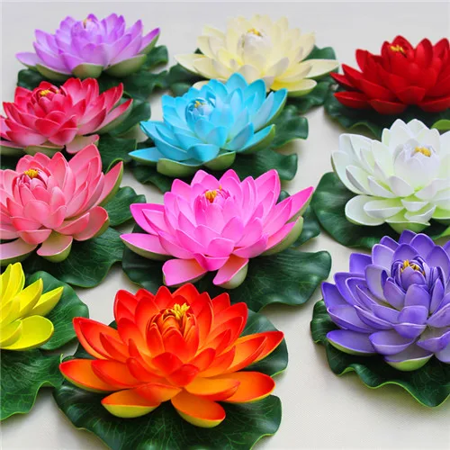 

Big promotion! Multicolor Mixed Water Lily Bonsai Hydroponics 5Pcs Plant Aquatic Plant Pot Lotus Bowl Lotus Botanical Garden