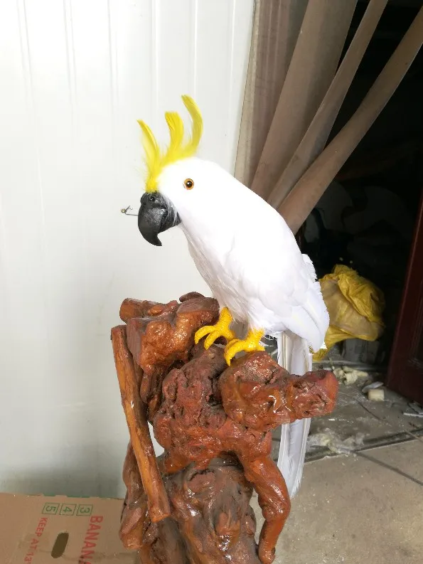 

new simulation Cockatoo parrot bird model foam&feathers white parrot about 43cm