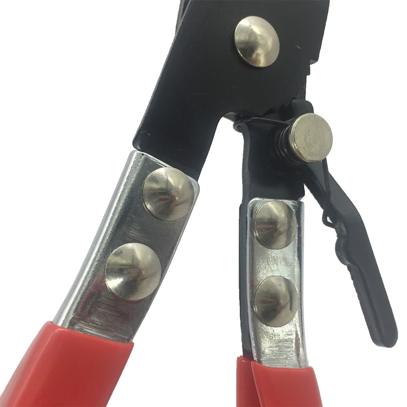 HTB1sfIncrsTMeJjy1zcq6xAgXXaf